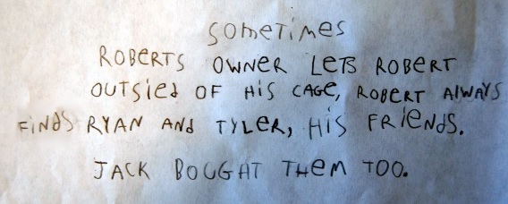 Sometimes Roberts owner lets Robert outside of his cage. Robert always finds Ryan and Tyler, his friends. Jack bought them too.